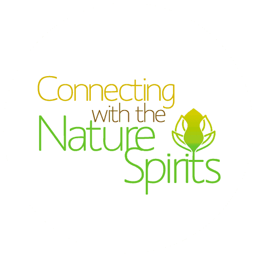 Connecting With Nature Spirits - Jenny Schiltz